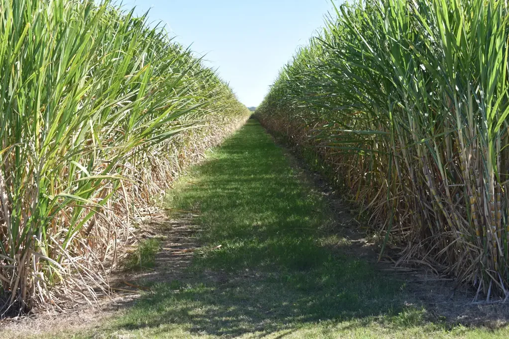 Welcome Creek  Cane Farm close to Beaches & Bundaberg CBD