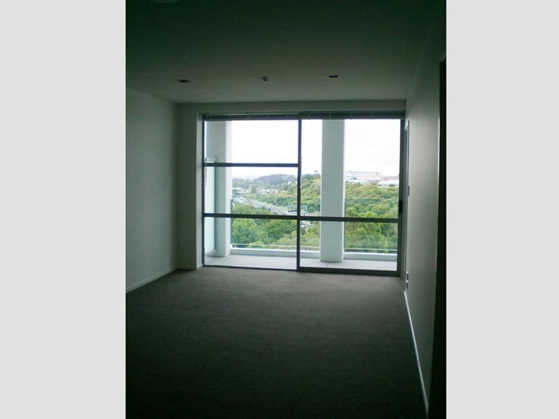 A/401 New North Road, Kingsland, Auckland, 0房, 1浴