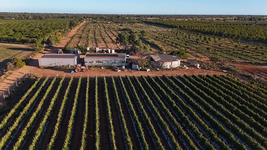 North Plantations 41 ACRE HORTICULTURAL OPPORTUNITY!