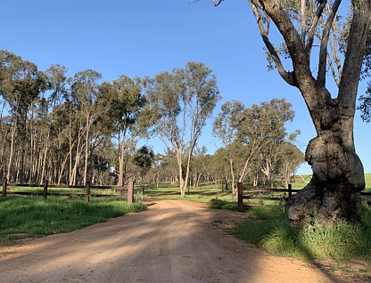 . Holbrook Wagga Road, Cookardinia, Riverina, 0 غرف, 0 حمامات, Lifestyle Property