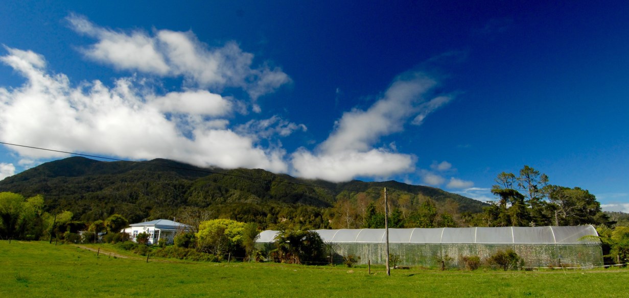 642 Arapito Road Karamea, Karamea, Buller, 3部屋, 1バスルーム