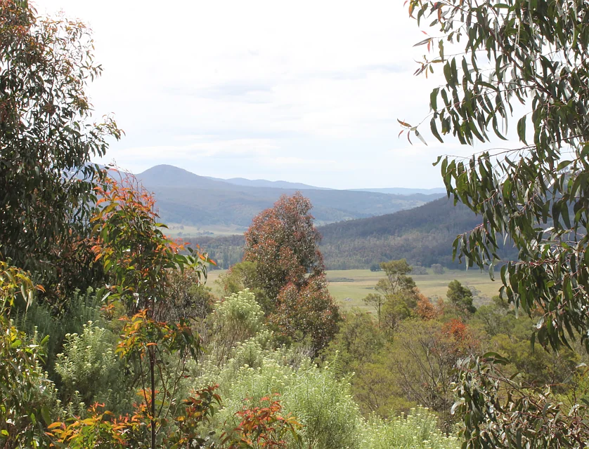 Lot 1 & 2, 223 Kain Road, Braidwood, South Coast, 0 침실, 0 욕실, Lifestyle Property