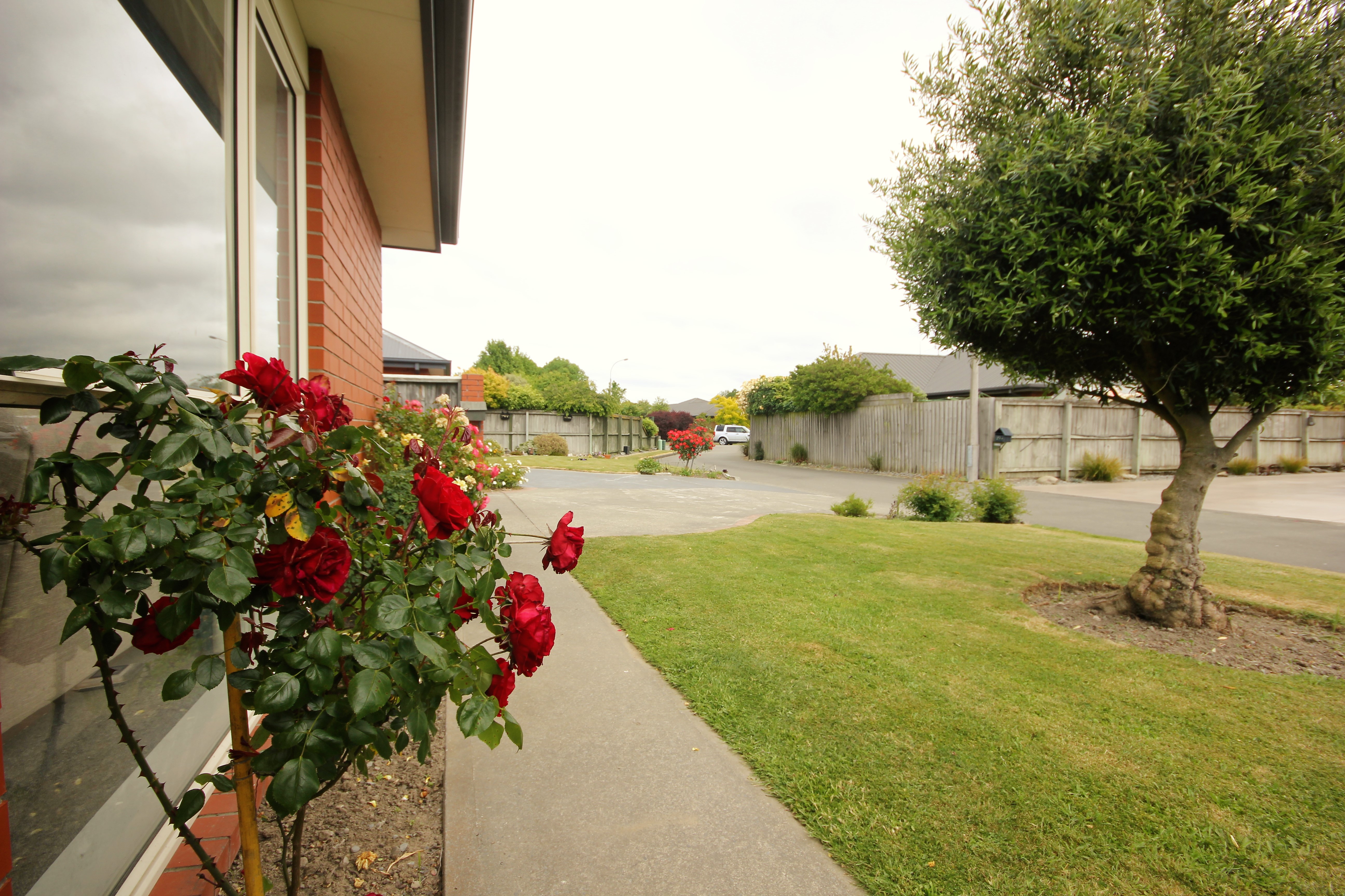 35 Cardigan Bay Place, Addington, Christchurch, 2 chambres, 1 salles de bain