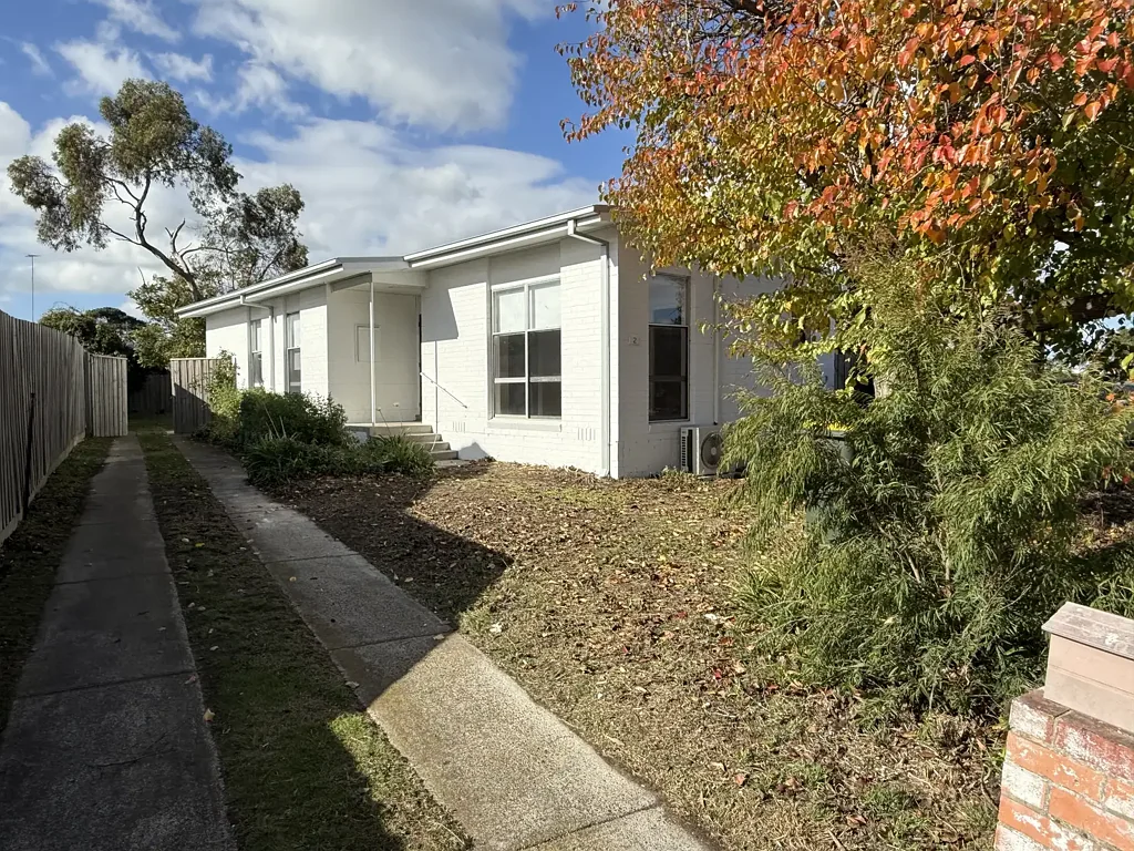 Light Filled Renovated Home