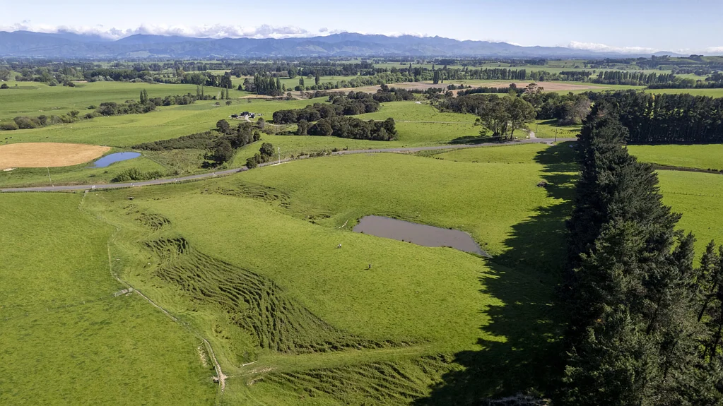 Carterton 1502 Ponatahi Road | Lot 4 and Lot 5