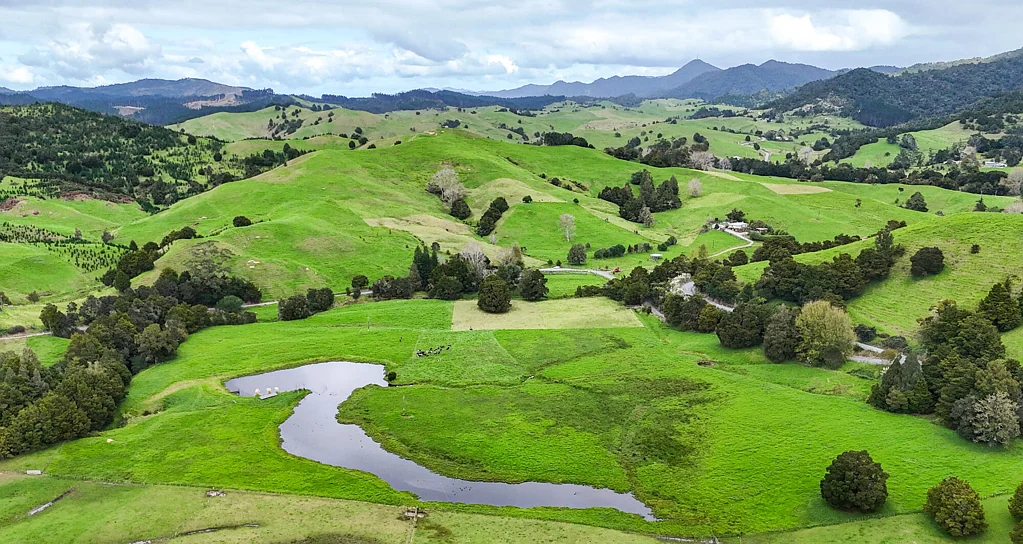 Kaeo  Top output grazing farm plus ETS income