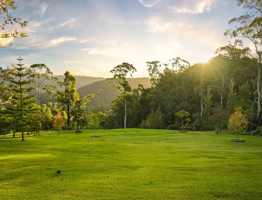 85 Walter Court, Wongawallan, QLD 4210, 3 Kuwarto, 2 Banyo, Lifestyle Section