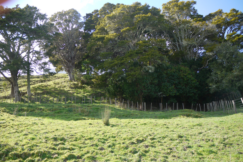 20 Bosher Road, Wellsford, Auckland - Rodney, 0房, 0浴