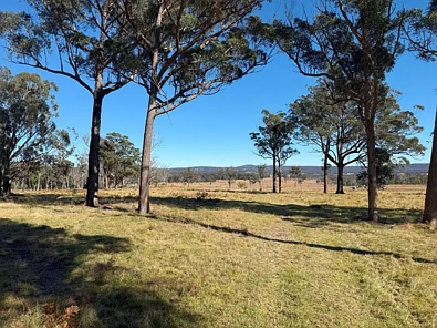 Eukey Prime grazing country Stanthorpe