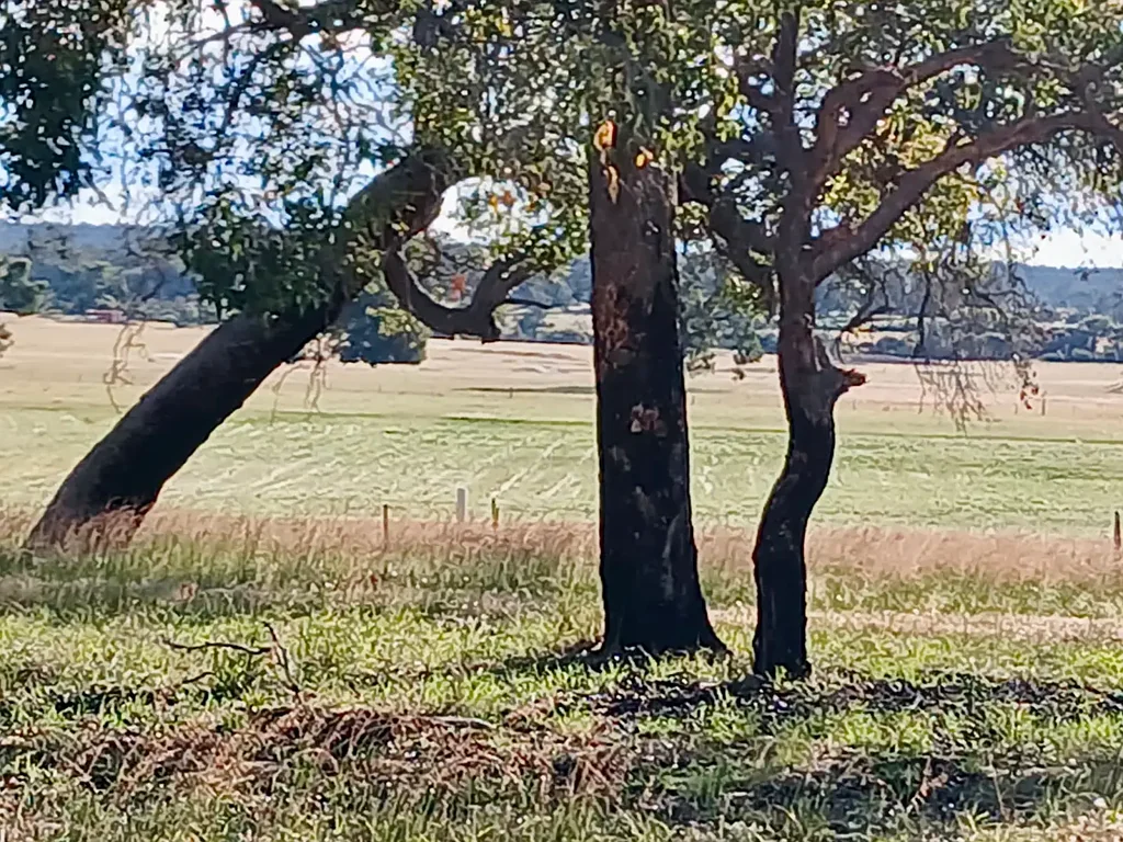York For Sale: Idyllic 136-Acre Retreat in West Talbot.
