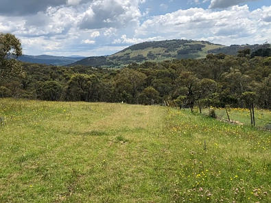 Address Withheld, Moonbah, NSW 2627, 0 Bedrooms, 0 Bathrooms, Section