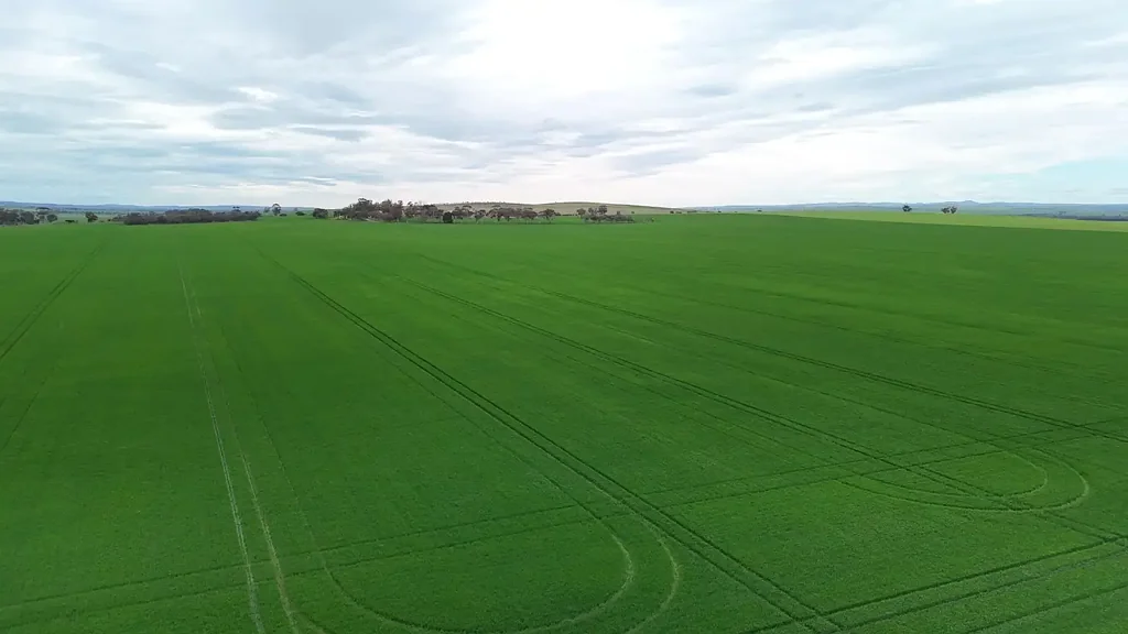 Gladstone Quality Mid North Cropping Land