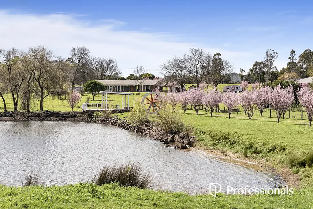 Coldstream 4 Slaapkamer Rare 12.5-Hectare Country Lifestyle Property with Endless Potential