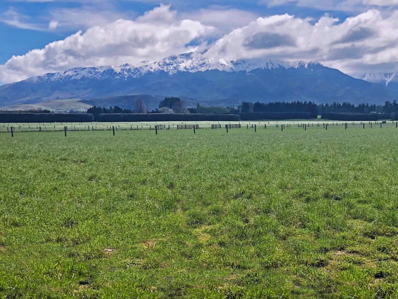 30 Ashburton Gorge Road, Mount Somers, Ashburton, 0 habitaciones, 0 baños