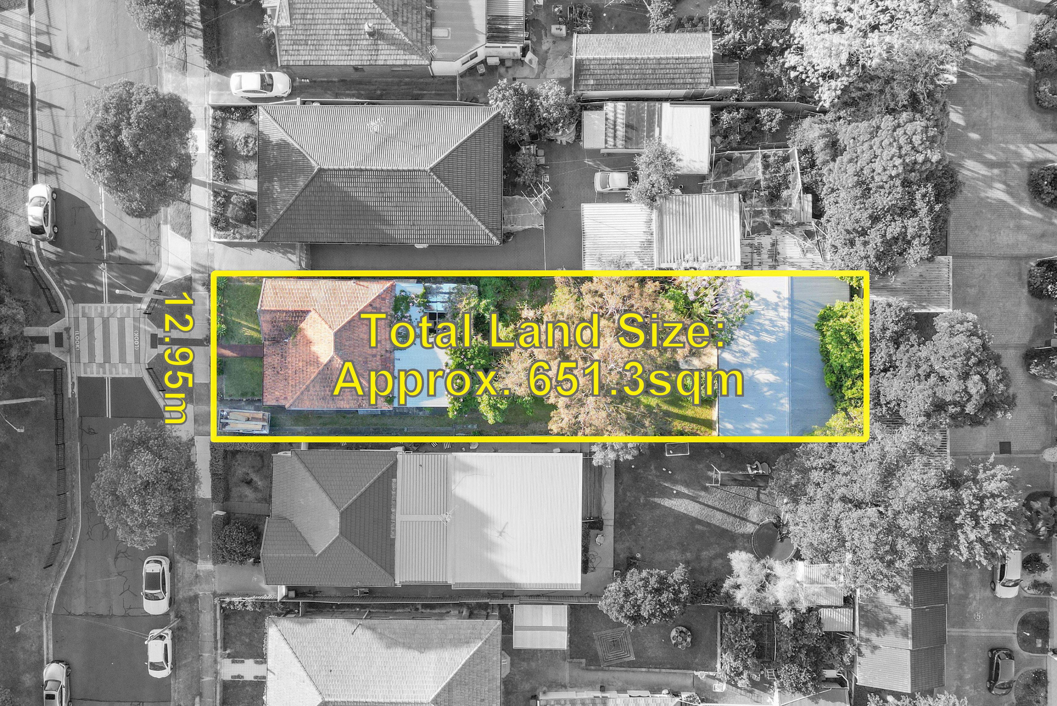 20 NELSON AV, BELMORE NSW 2192, 0 rūma, 0 rūma horoi, House