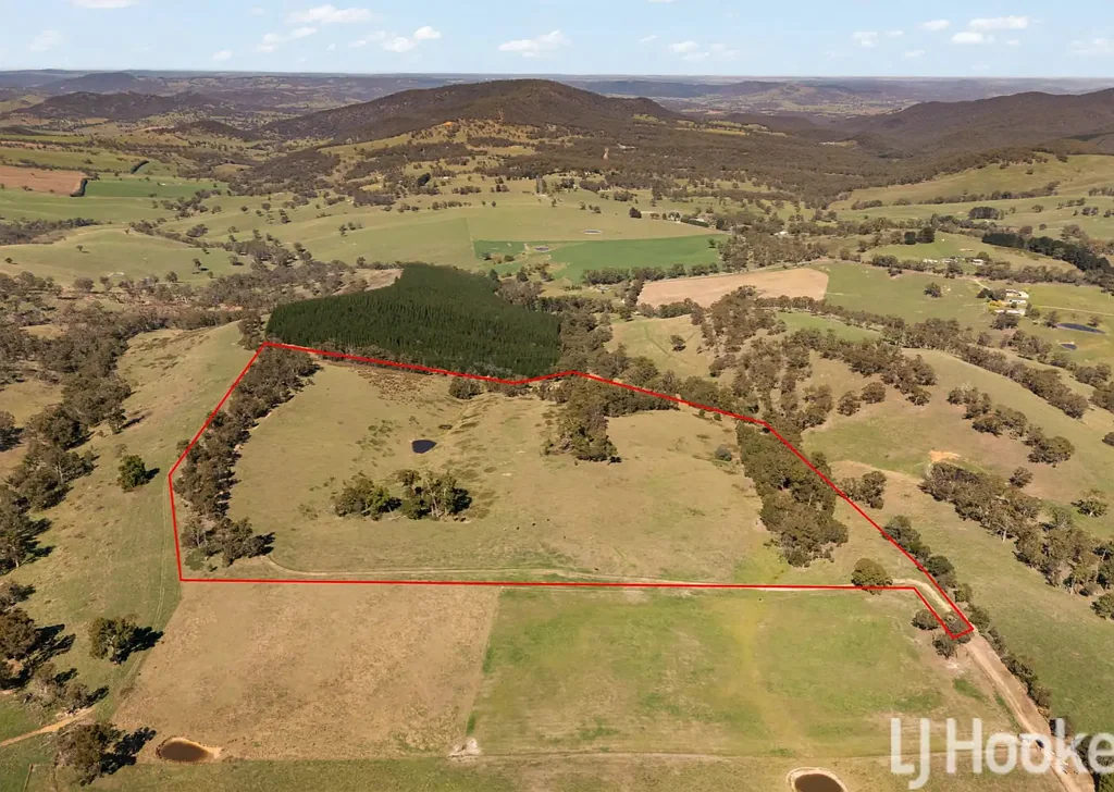 Meadow Flat 60 Acres of Peace & Possibility