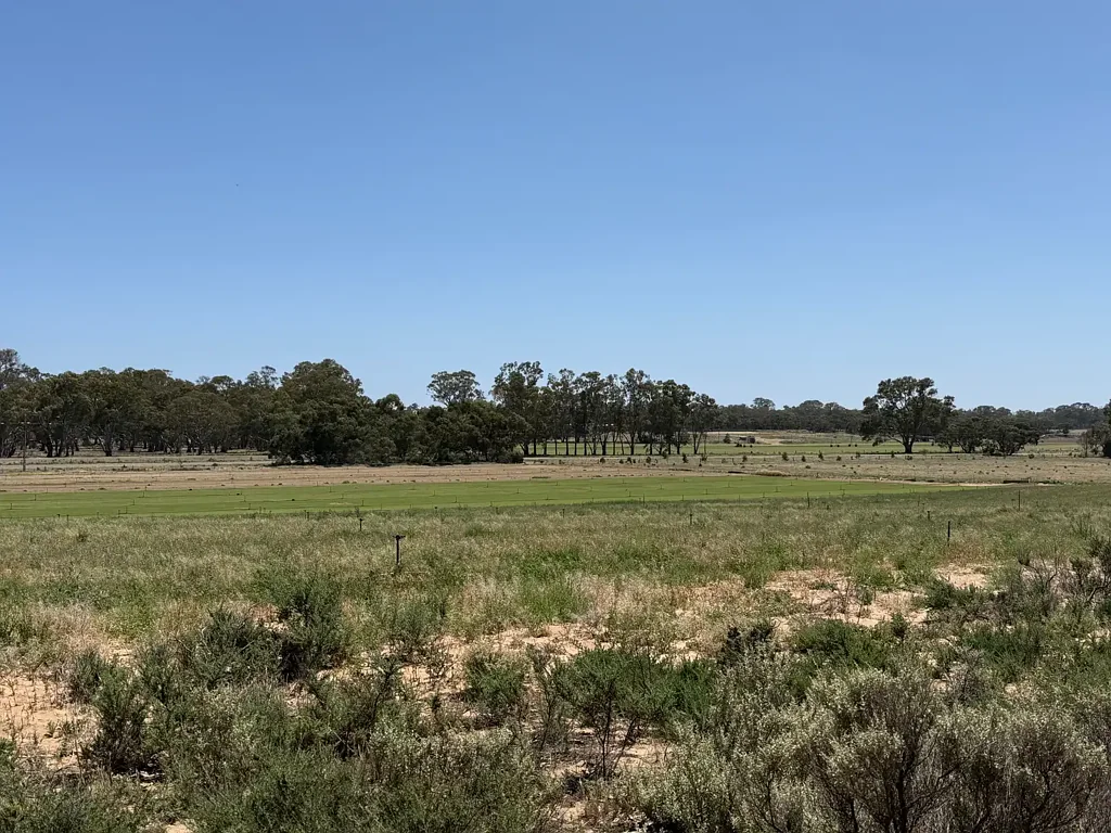 LOT 390 Black Hill Road, Cambrai, SA 5353