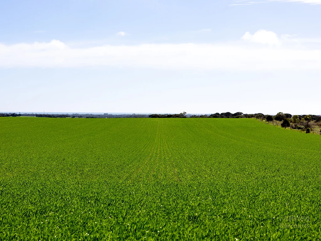 420 Hundred Line Road, Corny Point, SA 5575