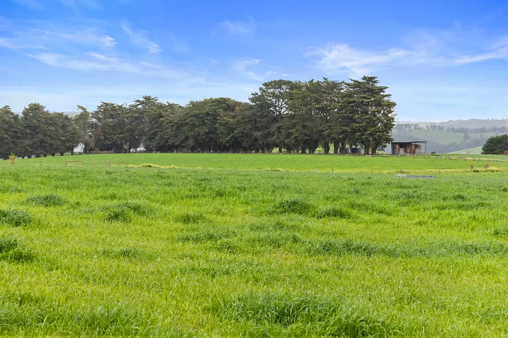 Mirboo North Multipurpose Property in Mirboo North – 77 Acres with a Planning Permit