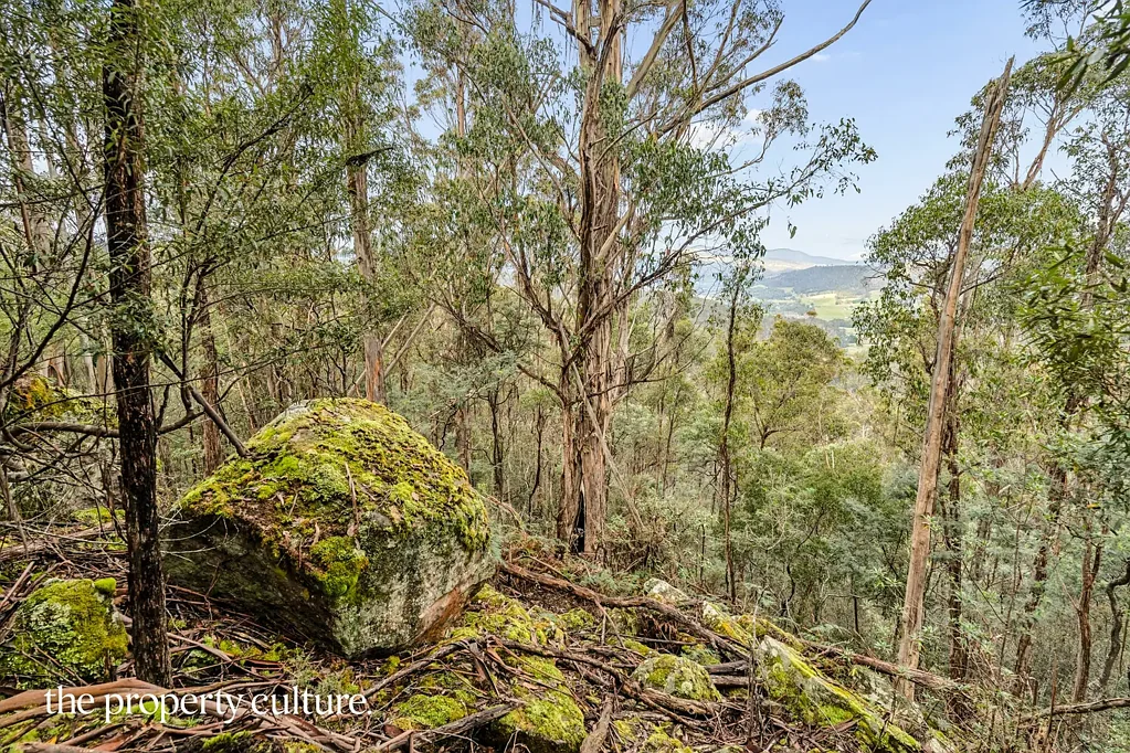 Ranelagh  Wild Tasmanian Escape