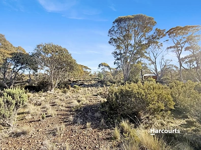 55 Fleming Drive, Miena, TAS 7030, 0 slaapkamers, 0 badkamers, Section