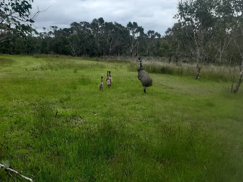 Gorae West Surprise - 9.499 ha Land (Lot 1)