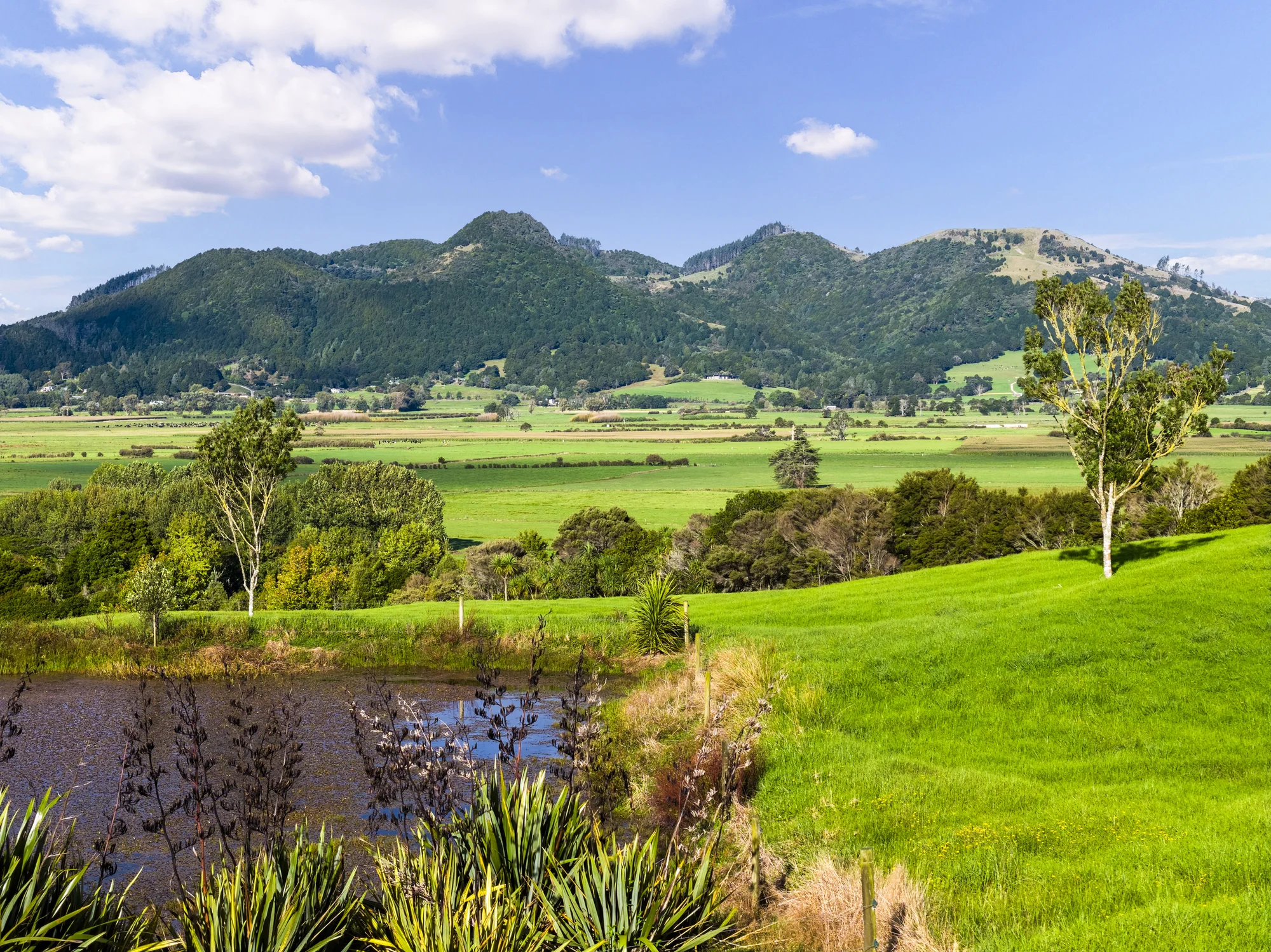 Matarau Fresh Opportunity, A Lifestyle Worth Building For.