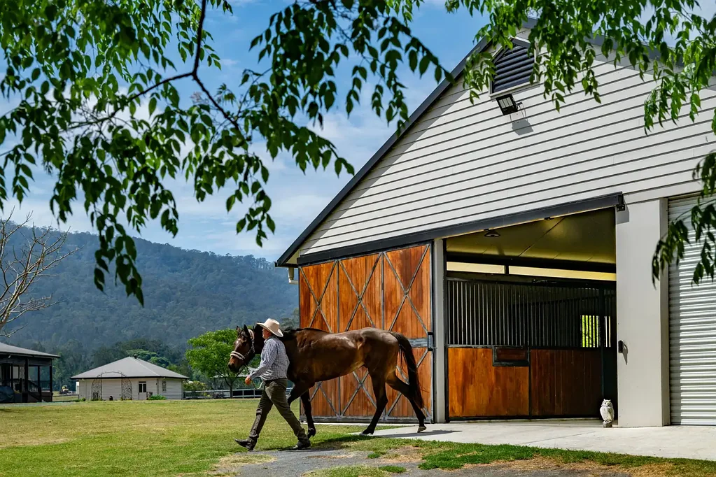 Benobble  "Klemley Park" - A Stand Out Opportunity just mins to Canungra