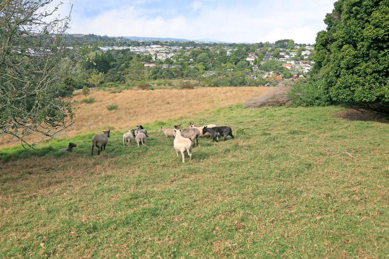 48 Oneills Road, Swanson, Auckland - Waitakere, 5 ਕਮਰੇ, 2 ਬਾਥਰੂਮ