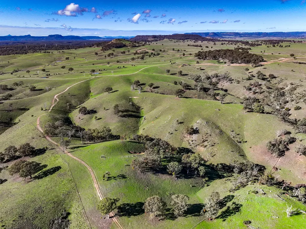 Mudgee Scenic Rural Escape