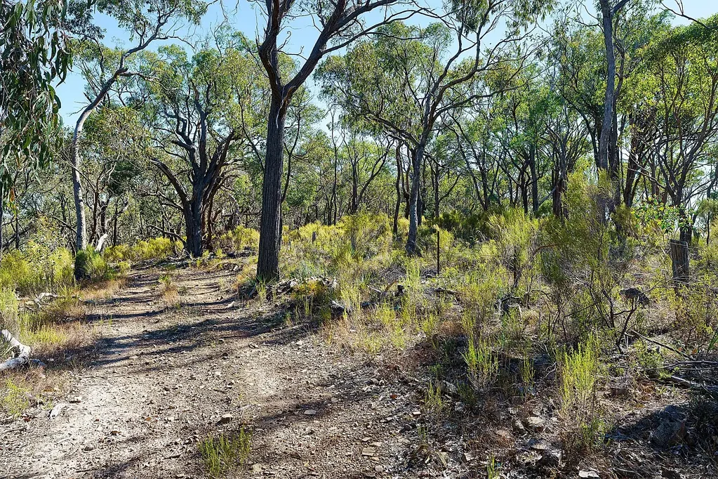 Lot 4 McNutts Lane, Heathcote, VIC 3523
