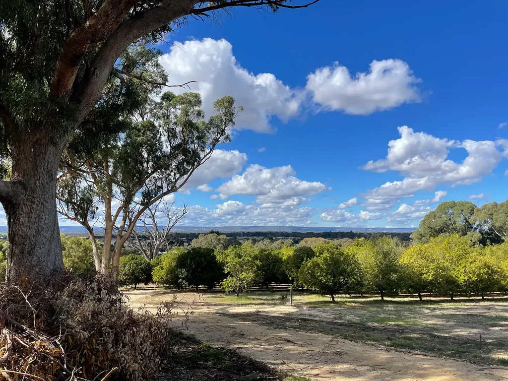 Baldivis UNDER OFFER BY REBEKAH VOS-JAMIESON
