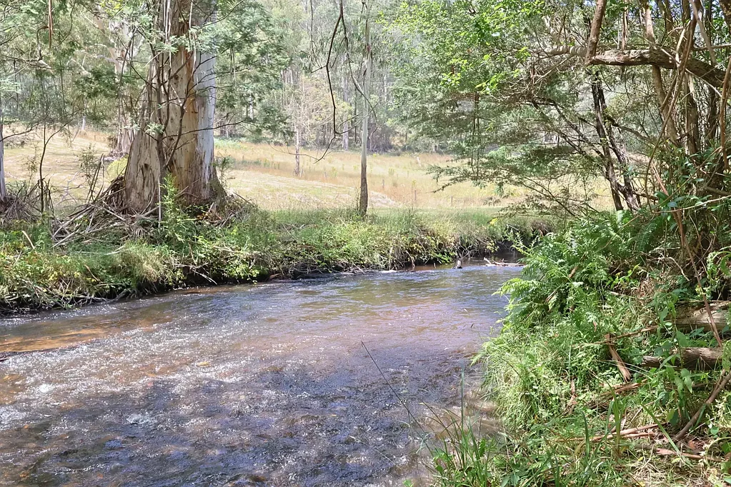 Lot 39 Toorongo Valley Road, Noojee, VIC 3833