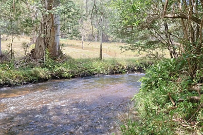 Lot 38 Toorongo Valley Road, Noojee, VIC 3833, 0 slaapkamers, 0 badkamers, Section