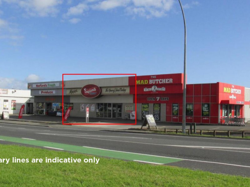 254 Kahikatea Drive, Frankton, Hamilton, 0房, 0浴