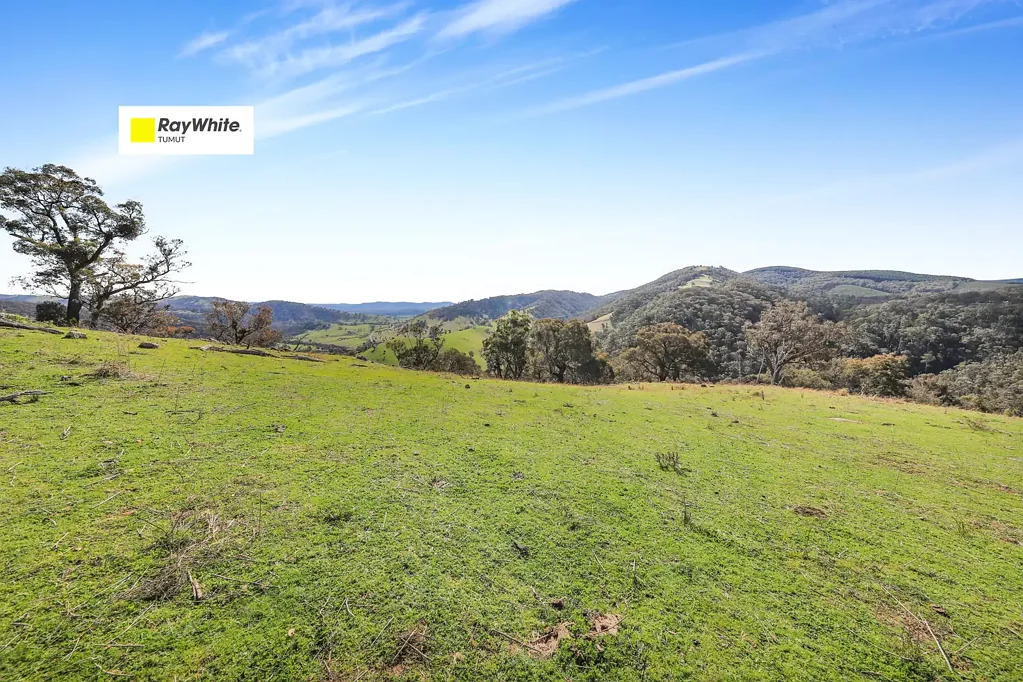 Tumut Sandy Creek Argalong