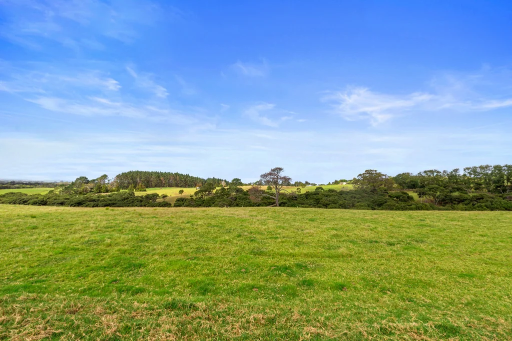 Taupaki Sun kissed, north facing house and land package