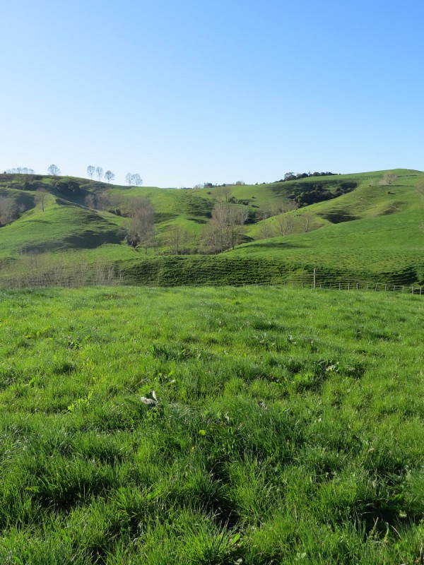 247 Tahaia Road, Otorohanga, Otorohanga, 0房, 0浴