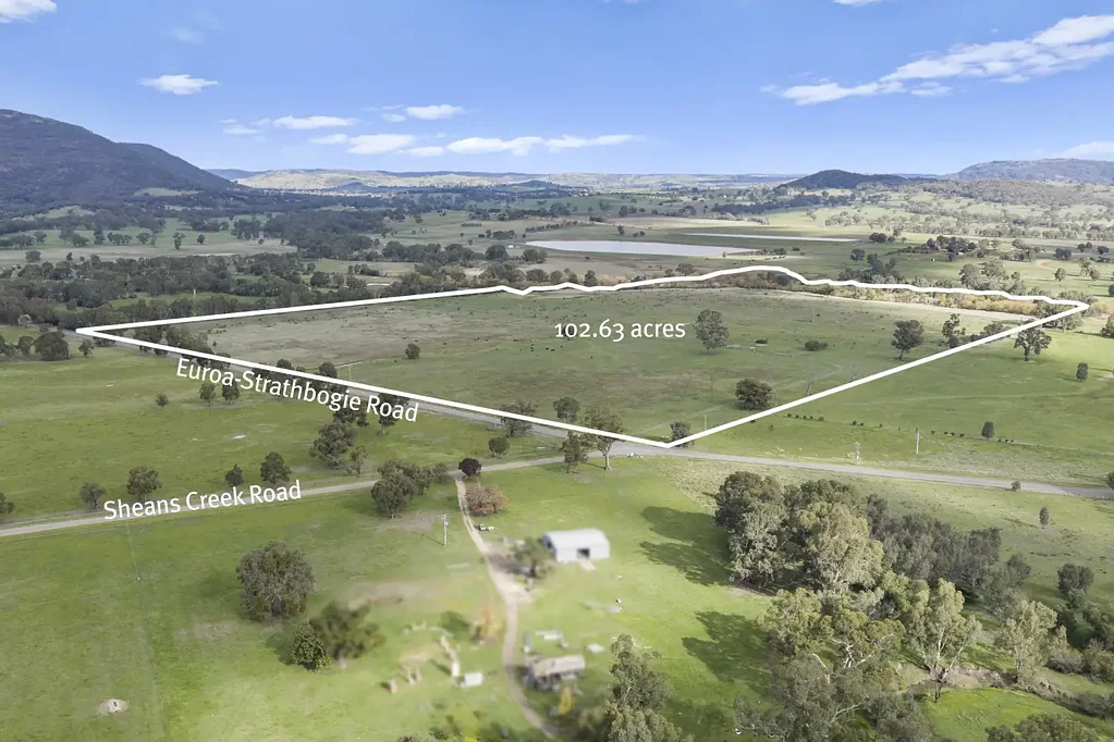 Euroa A Blue-Ribbon Opportunity: Town Water and Seven Creeks Frontage 6km* from Town