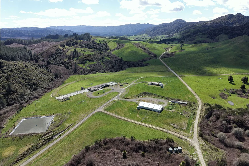 Murupara Surrounds  Dairy or Grazing - You choose