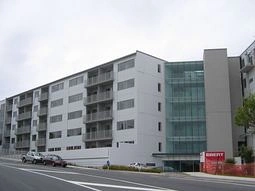 A306/130 Anzac Street, Takapuna