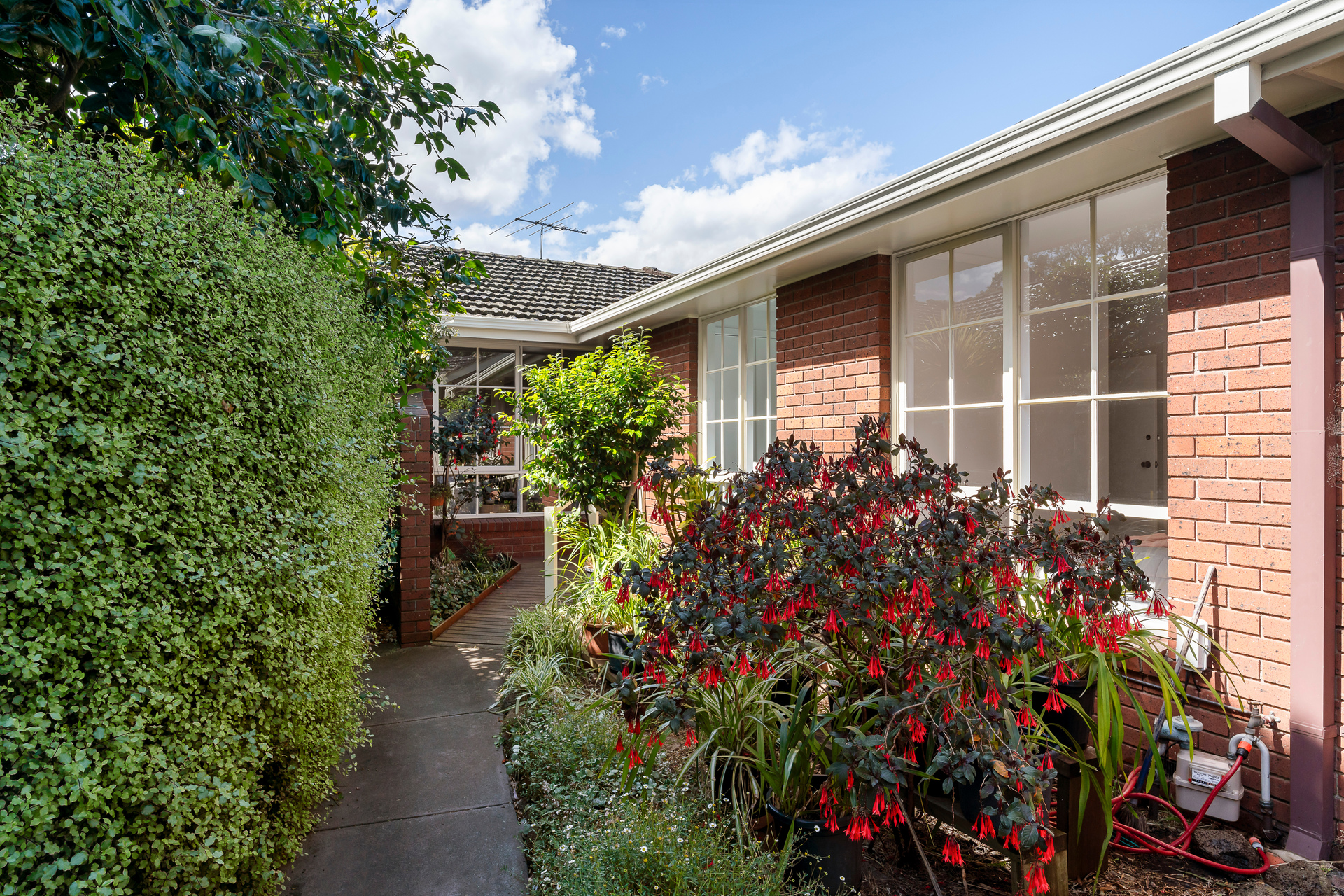 36-38 OSBORNE AV, GLEN IRIS VIC 3146, 0房, 0浴, House