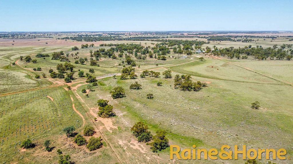 12094 Mitchell Highway "Kirribilli", Nevertire, NSW 2826