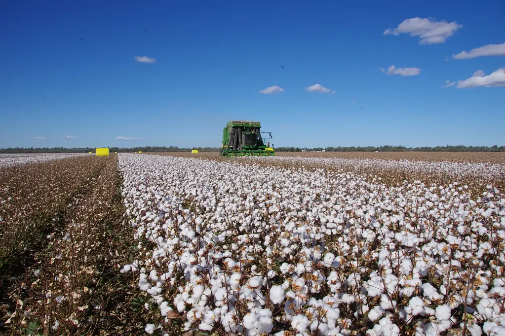 Wee Waa Outstanding Soils, Irrigation & Water Entitlements