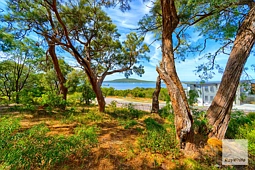 29 The Outlook, Bayonet Head