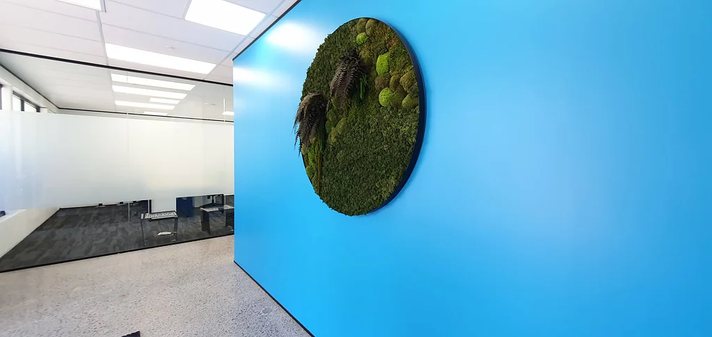 Takapuna  Takapuna office suites