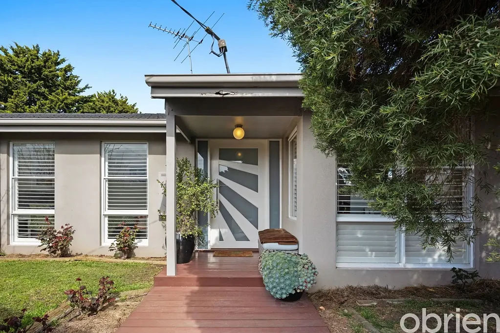 Renovated Delight