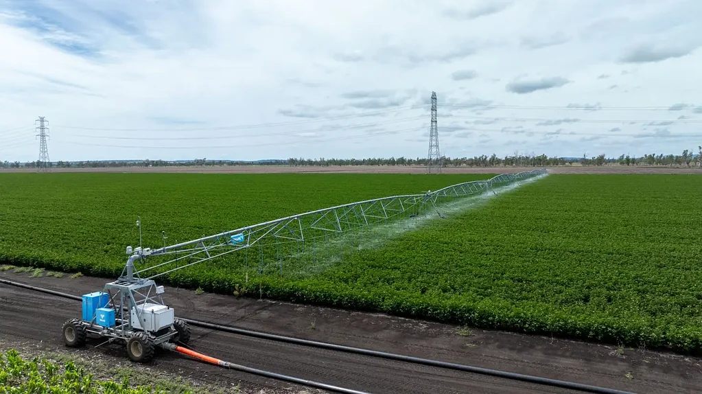 Pittsworth Deep Self-Mulching Condamine Alluvium