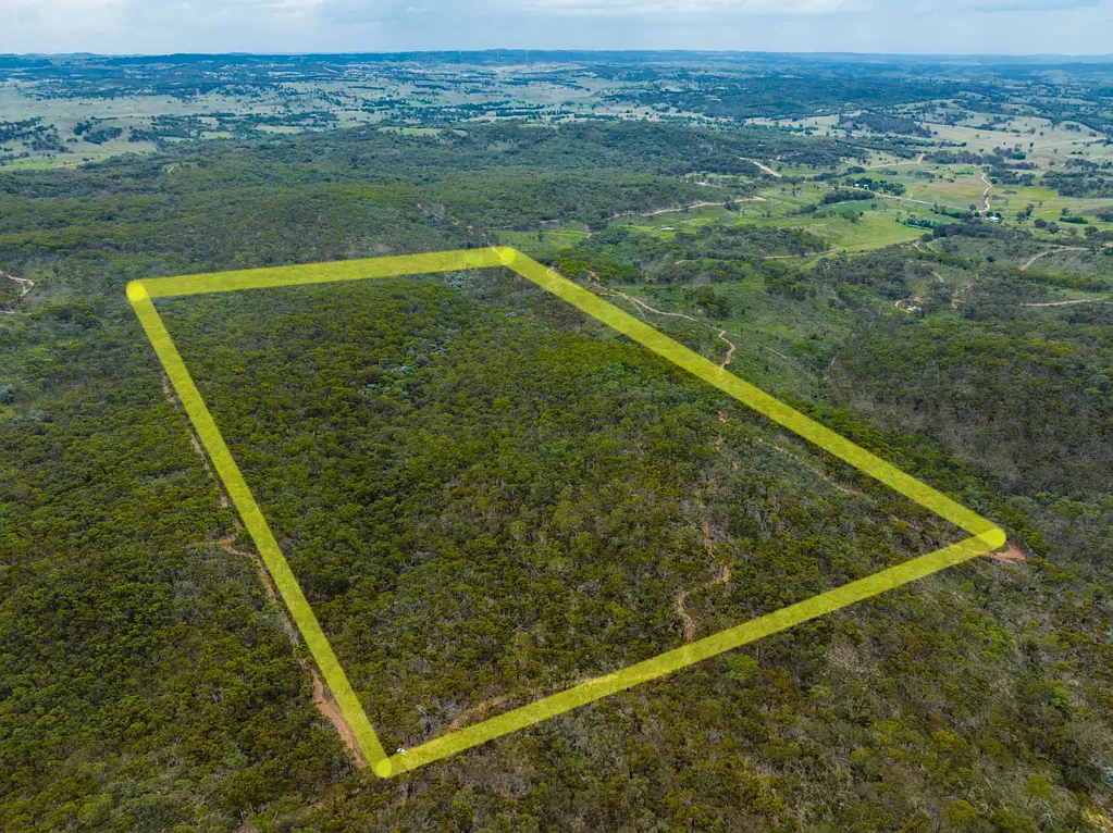1578 Blakney Creek North Road, Bevendale, NSW 2581