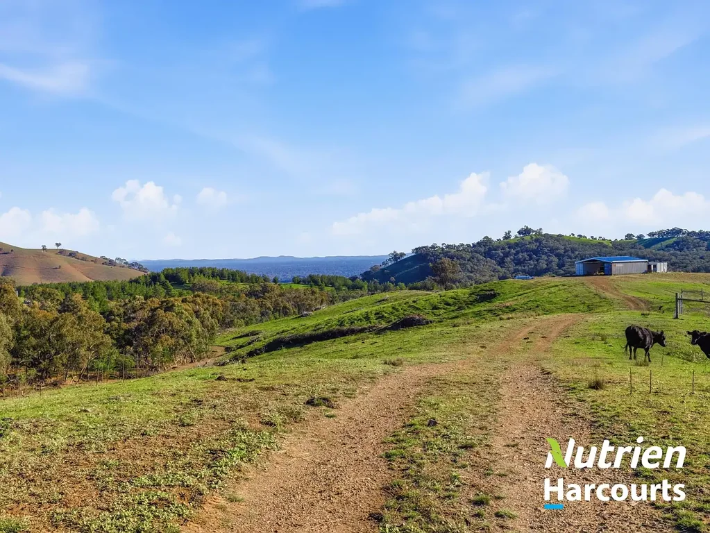 Everton 106 Acres of Elevated Lifestyle Land with plans for Approved Architectural Home